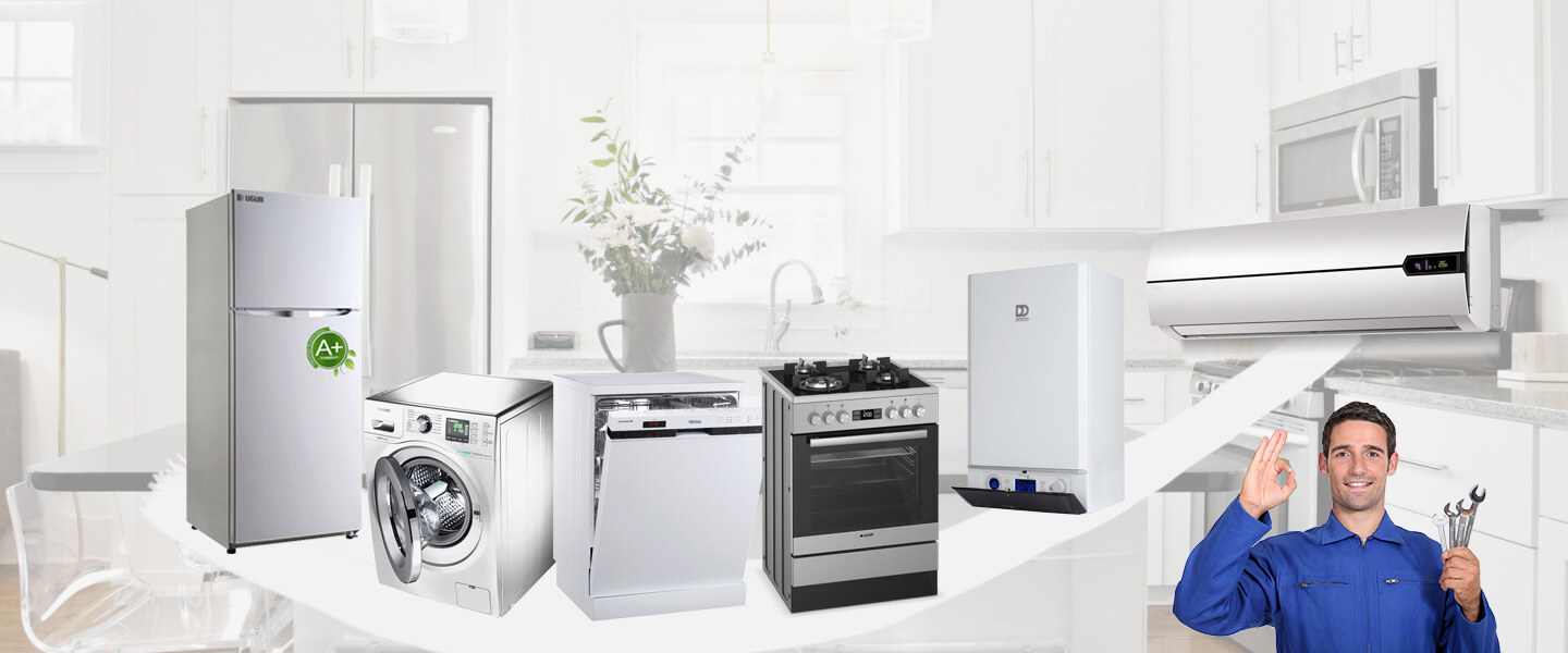 Başmakçı Electrolux Servisi